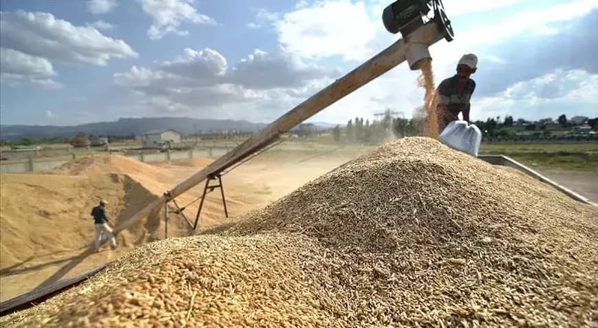 Hububat sektörü ihracatı 7 ayda 6,9 milyar dolar oldu