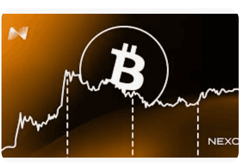 Fidelity yöneticisi: Bitcoin’de boğa piyasası geri döndü, hedef 300 bin dolar