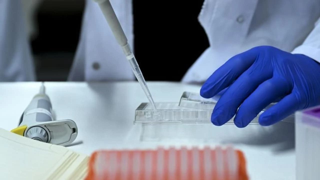 14 İlde Dev "Yasa Dışı Üreme Hücresi" Operasyonu: 36 Gözaltı
