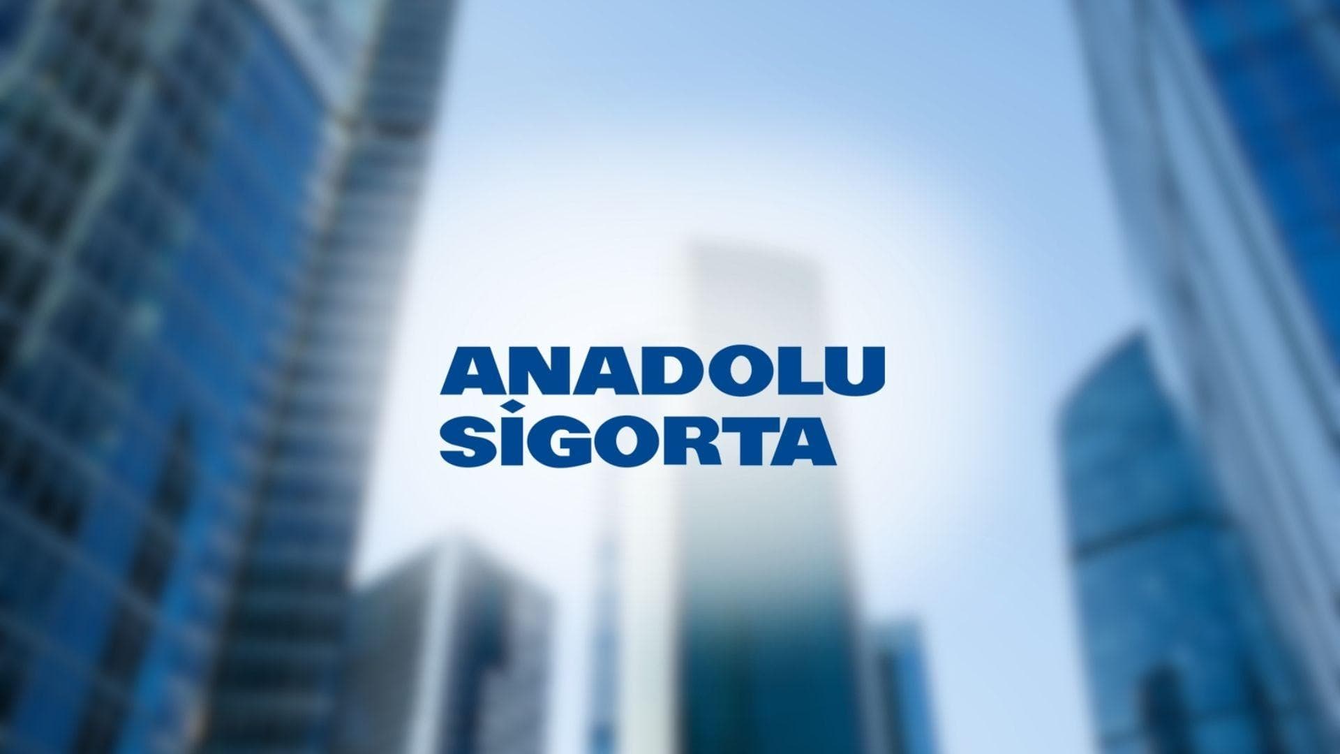 Anadolu Sigorta dokuz aylık dönemde 11,1 milyar TL kâr elde etti