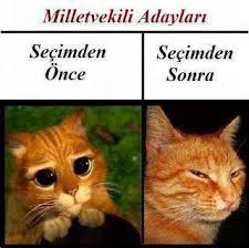Uzmanlar cevapladı: Yerel seçimden sonra ne olacak?