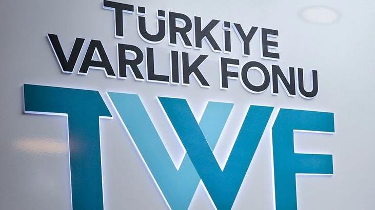 Türkiye Varlık Fonu denetlenmiyor
