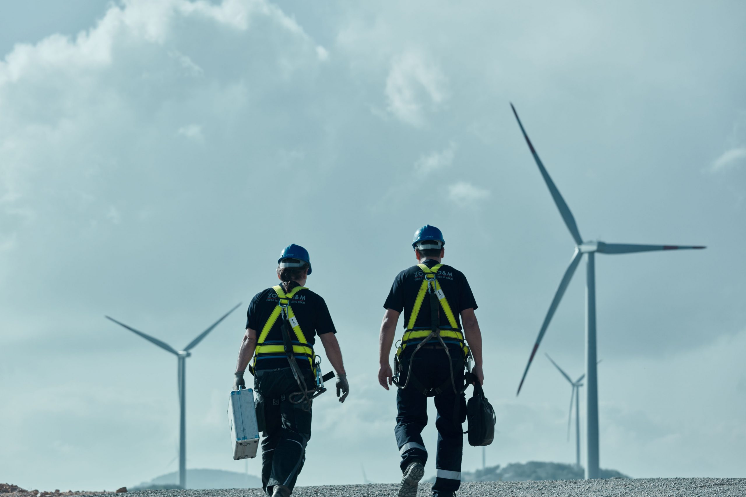 ÇED başkanı Şallı: Rüzgar enerjisi ile enerjide bağımsız olabiliriz