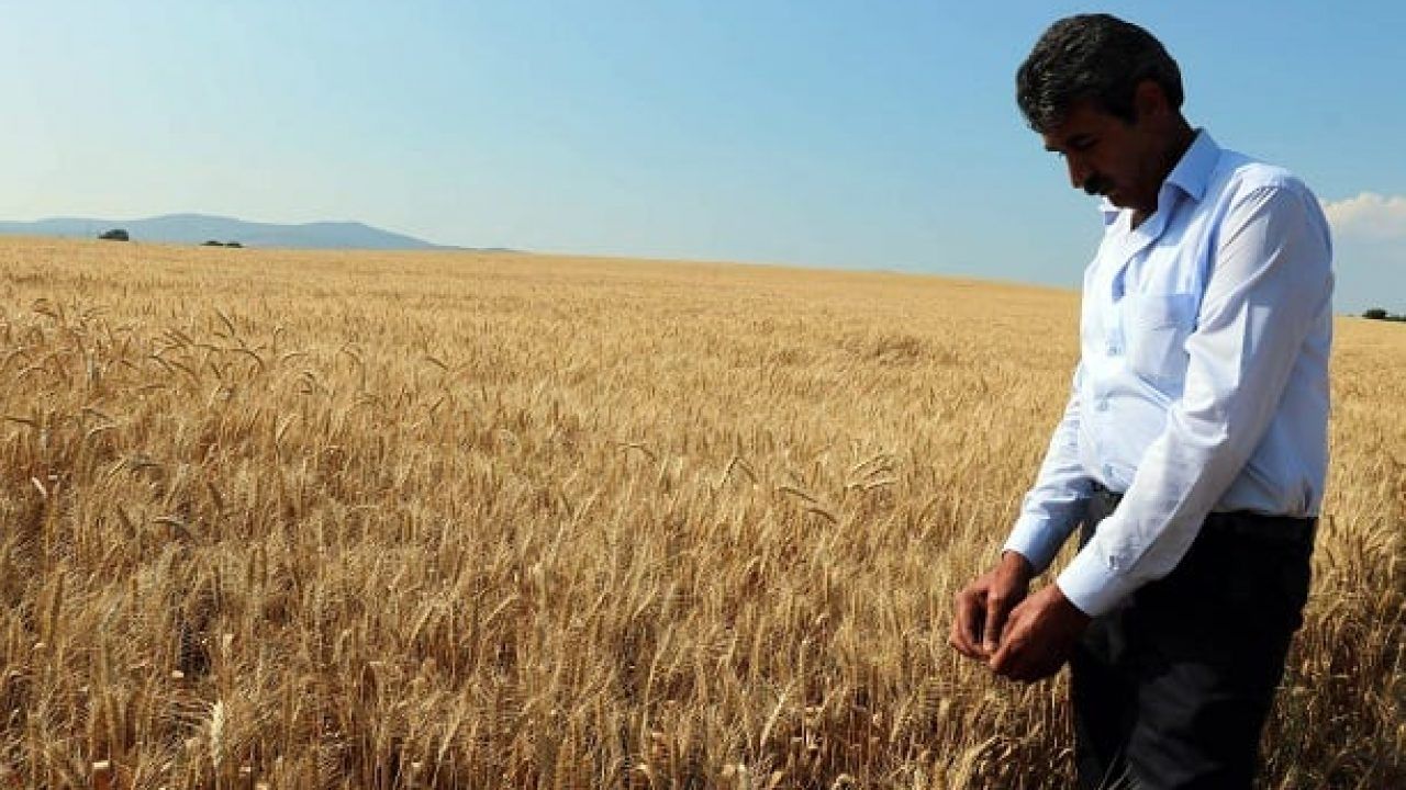 Çiftçi faiz derdinde; borç yapılandırması sadece yükü ağırlaştıracak