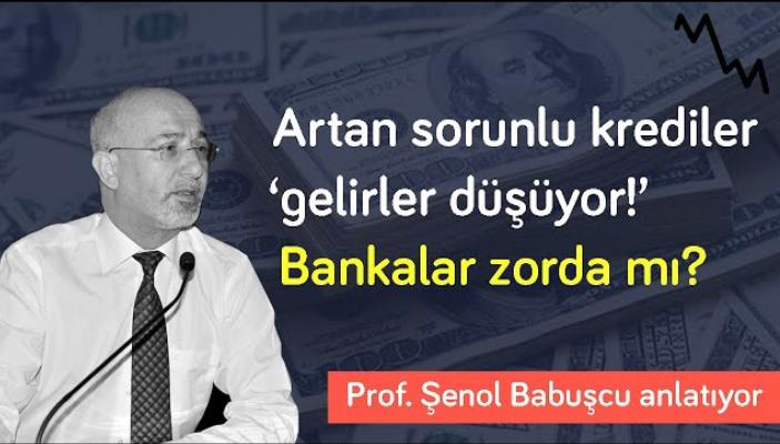 Mesele Ekonomi: Bankaları zor günler bekliyor & Kamu bankalarının karlılığı neden sert düştü? | Şenol Babuşcu