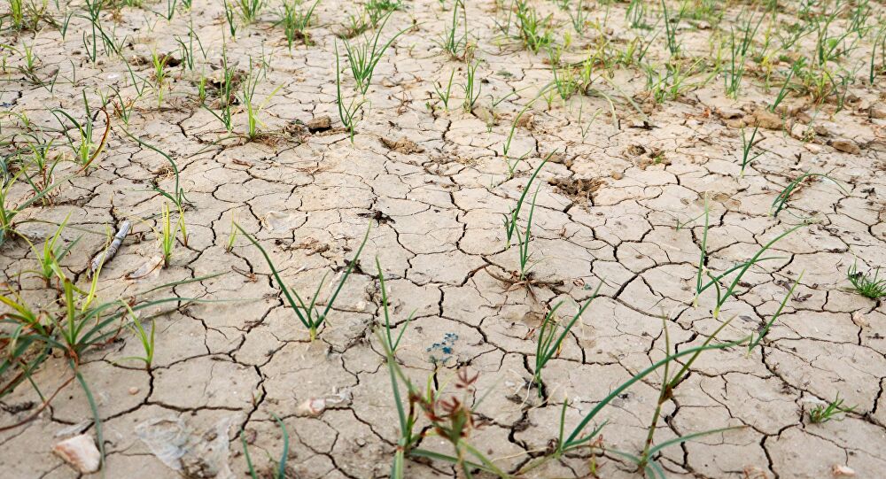 Dünya Meteoroloji Örgütü’ne göre iklim değişikliği, küresel su krizine neden olacak