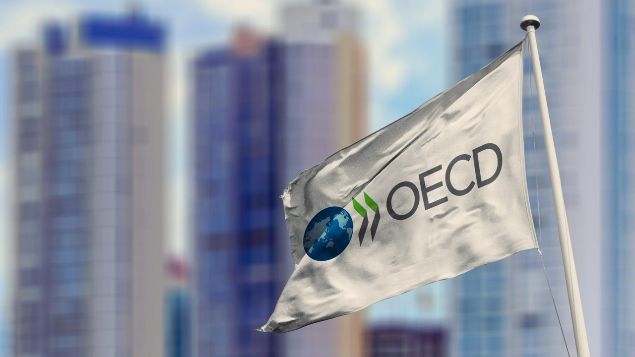 OECD Türkiye masasından enflasyon uyarısı