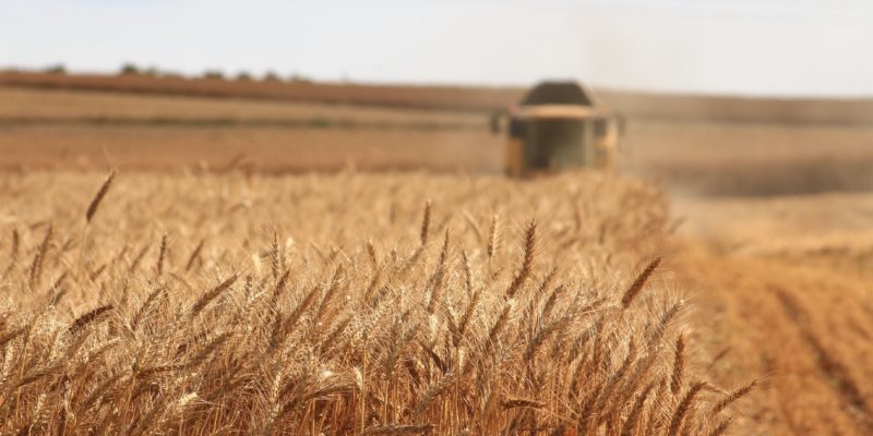 Tarımsal girdi fiyat endeksi yıllık yüzde 105,70 arttı