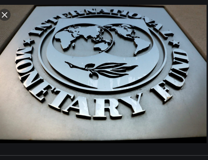 IMF:  Türkiye’ye hem övgü, hem eleştiri