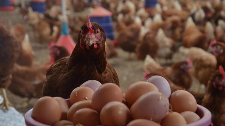 Yumurtasız menemene az kaldı