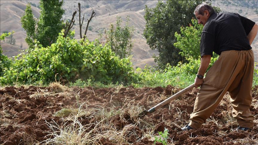 Üretici için bir sonraki hasat dönemi zora girebilir