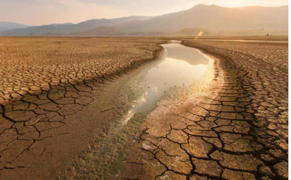 TZOB Başkanı Şemsi Bayraktar: 2022 yılında ciddi bir kuraklık olabilir