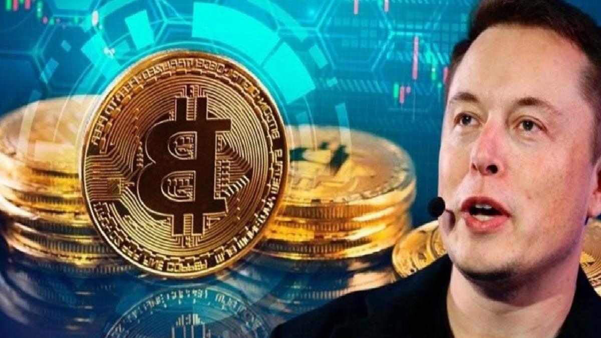 Beste Naz Süllü: ‘Tesla, Bitcoin’leri Neden Sattı ve Bitcoin’de Son Durum…’