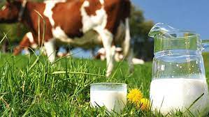 TL’nin değer kaybı nedeniyle çiğ süte büyük zam: yüzde 46,8!