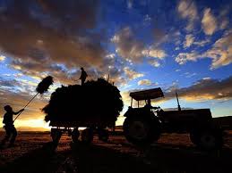 Çiftçi nasıl yaşayacak: Tarımsal girdi enflasyonu yüzde 138 ile rekor tazeledi