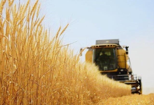 Tarımsal girdi fiyat endeksinde yıllık %57,26 artış gerçekleşti