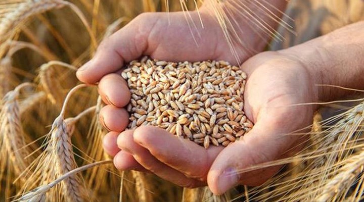 Türkiye tarihinde bir ilk: Hindistan’dan buğday ithalatı