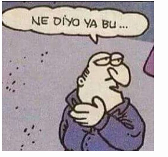 Işık Ökte:  CDS ne diyor?