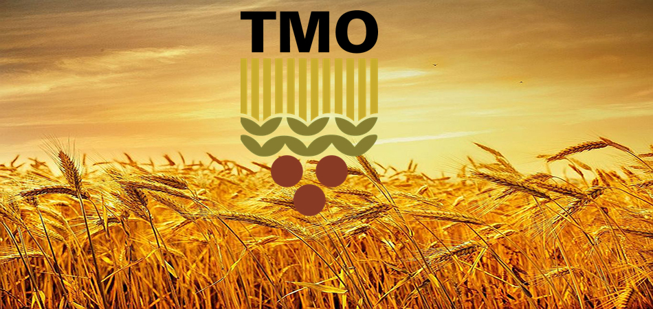 TMO’dan buğdaya yüzde 22 zam: Ekmek fiyatı artacak