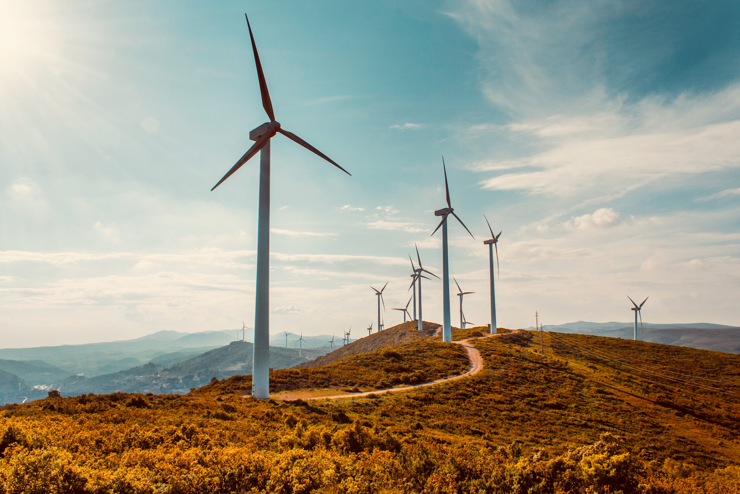 Eksim Holding’den Gürcistan’da rüzgar enerjisi yatırımı