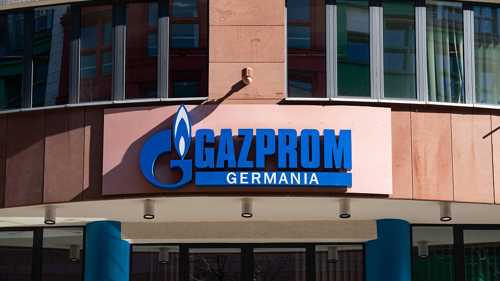 Gazprom Başkanı: Türkiye doğal gaz dağıtım merkezi projesine başladık