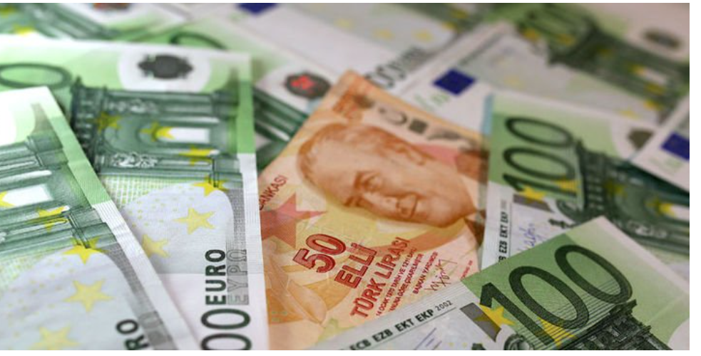 Euro yeni yıla rekorla başladı