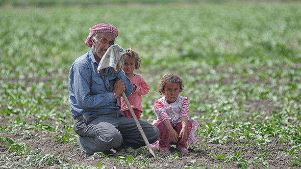Güldem Atabay: Politikasız tarımdan sorumlu yeni AKP Bakanı Kirişçi’nin planları: Geçiniz…