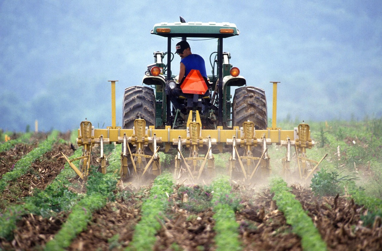 Tarım sektörü yılın ilk yarısında yüzde 2,4 daraldı