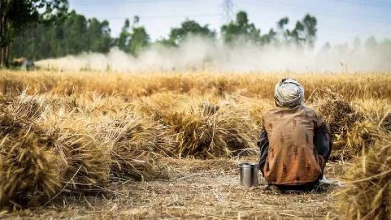 Tarım ürünleri üretici fiyat endeksinde aylık yüzde 7,14 artış yıllık seviyeyi yüzde 156’ya taşıdı!