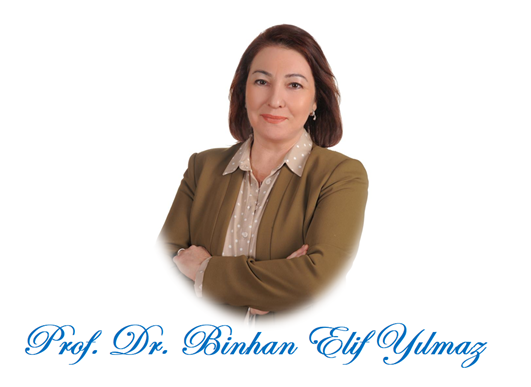 Prof. Dr. Binhan Elif Yılmaz: Otomobilde ÖTV matrahı düğümü