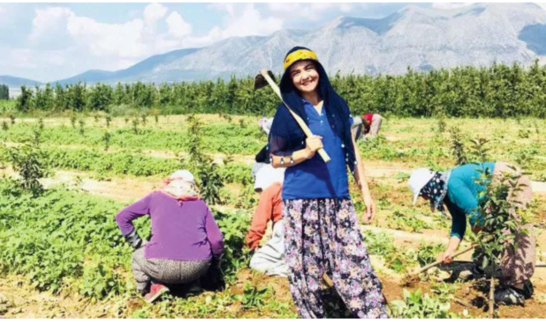 Tarla-market fiyat farkı 3 harflilerin kabahati mi?