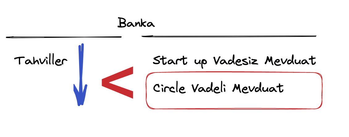 SVP Neden Battı?