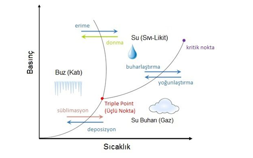 Liyofilizasyon / Freeze Drying Nedir ?