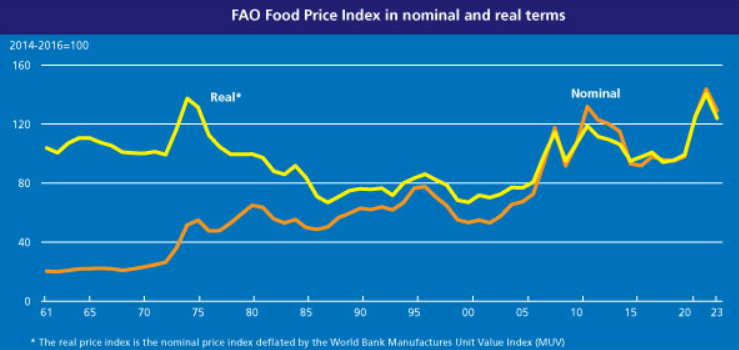 FAO Gıda Fiyat Endeksi art arda 12’inci ayda da düştü