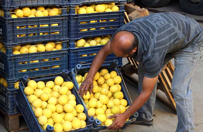 Bahçede 3 Lira Markette 24 Lira!