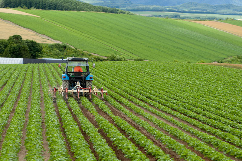 Gıda fiyatları can yakmaya devam edecek: Tarımda üretici enflasyonu Mart’ta hızlı yükseldi