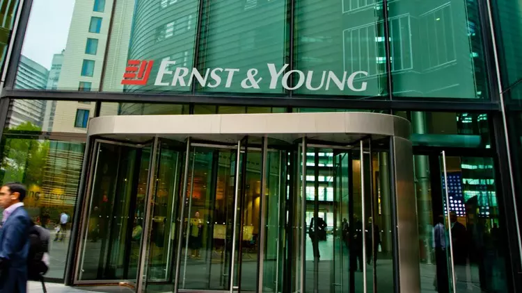 Ernst & Young: ‘Türk şirketler iklim değişikliğini önemsiyor ama harekete geçmekte yavaşlar…’