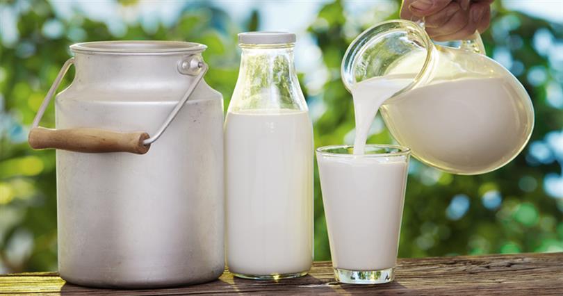 Süt üreticileri de ihracata umut bağladı