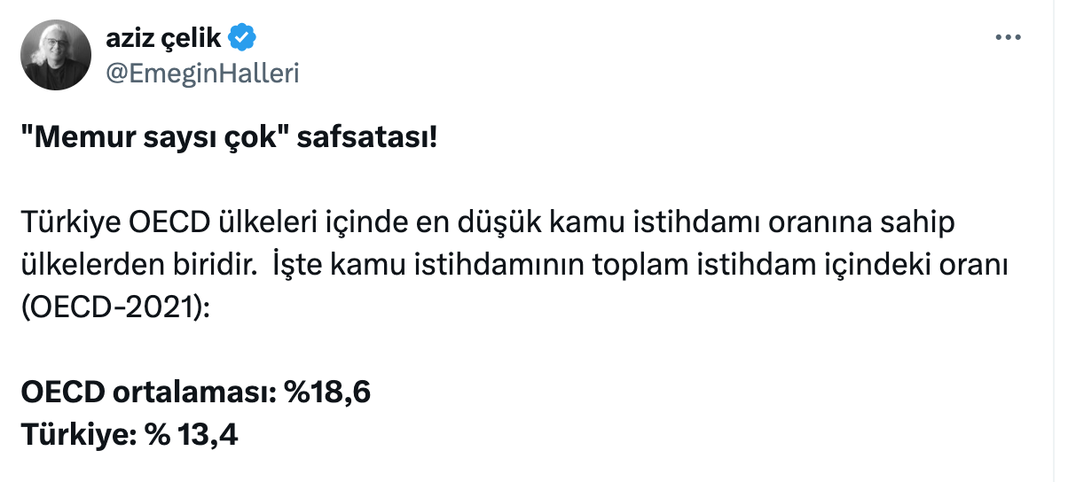 Memur Maaşlarına Zam Enflasyona Neden Olur mu?