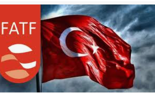 Uzman: Gri Listeden çıkış doğrudan yabancı sermaye cezbedebilir