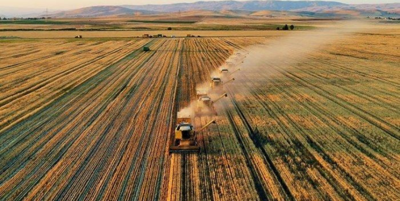 Tarım ‘bitkisel’ hayatta!