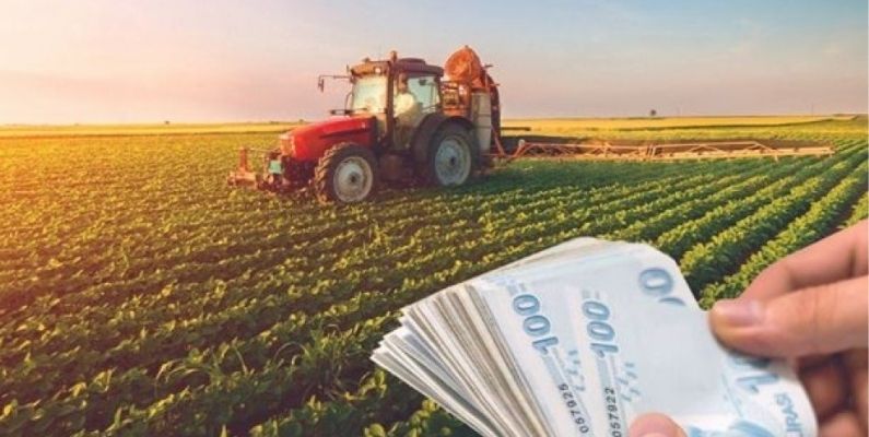 Gençlere ve Kadınlara Tarımda Ek Destekler Geldi