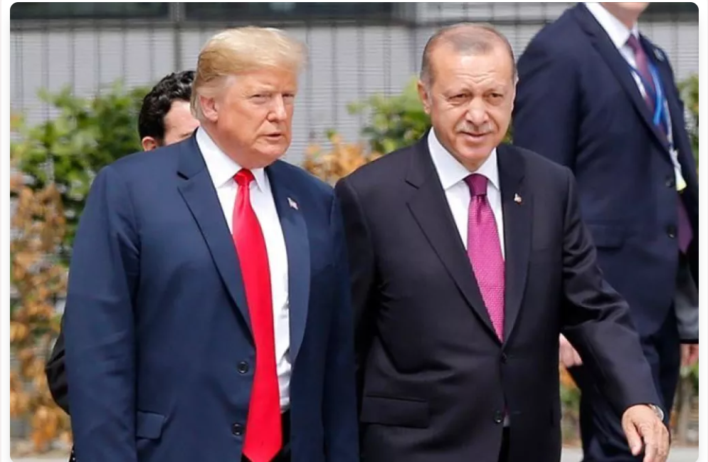 Gönül Tol:  ABD kaynaklarına göre Erdoğan-Trump  görüşmesi