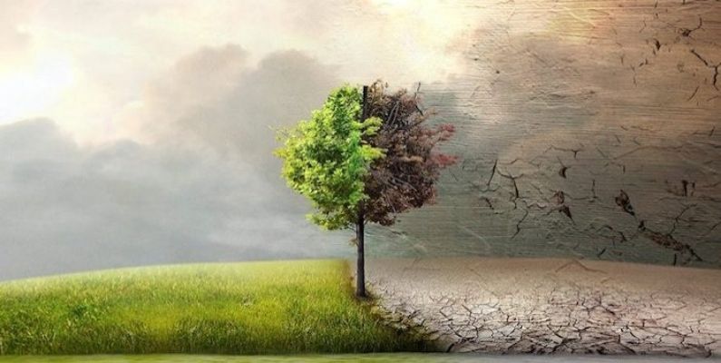 İklim Krizi Sağlığı Tehdit Ediyor: Her Yıl 546 Bin Kişi Aşırı Sıcaktan Ölüyor