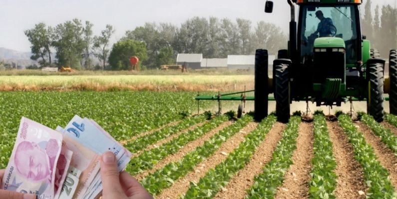 Ucuz Gıda Hayal Oldu: Eylülde Tarım Üretici Fiyatları %5,8 Arttı