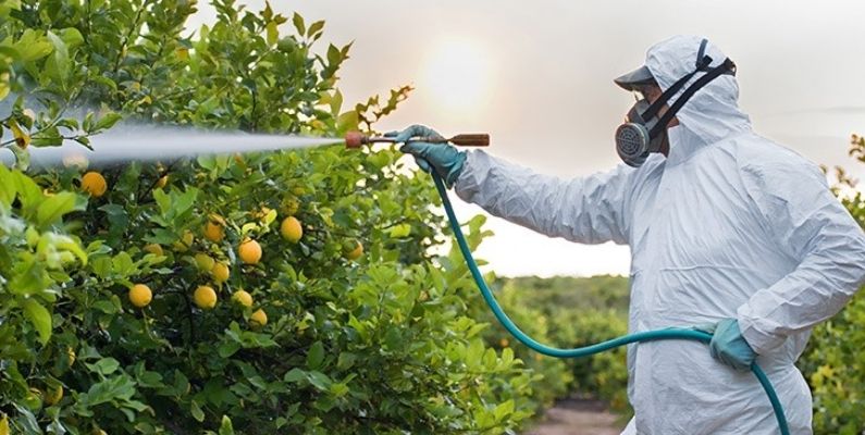 Tarladaki Fiyatlar Patladı: Sağlıklı Gıda Erişimi Hayal Oluyor