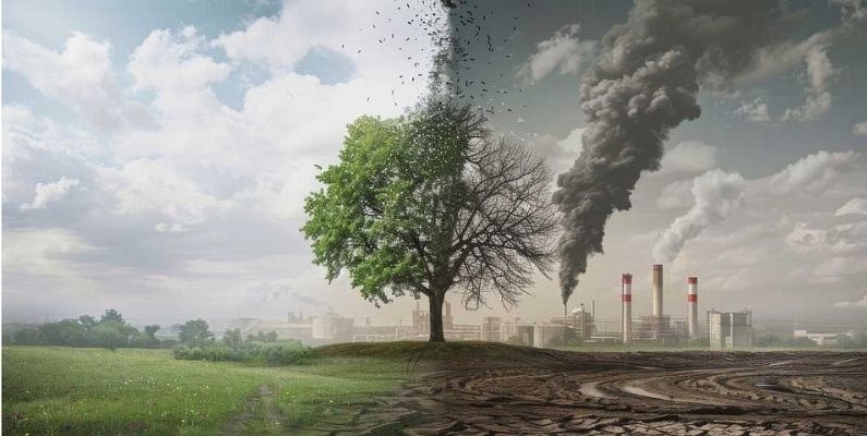 İklim Kanunu ile Yeni Dönem: Türkiye Karbon Piyasalarında Bölgesel Merkez Olma Yolunda