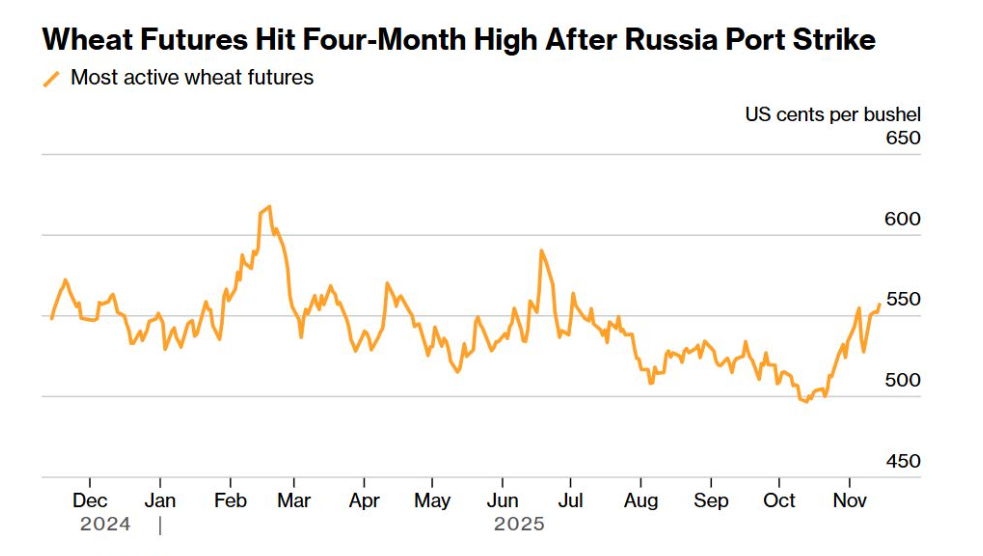 Novorossiysk Saldırısı Buğday Fiyatlarını 4 Ayın Zirvesine Taşıdı