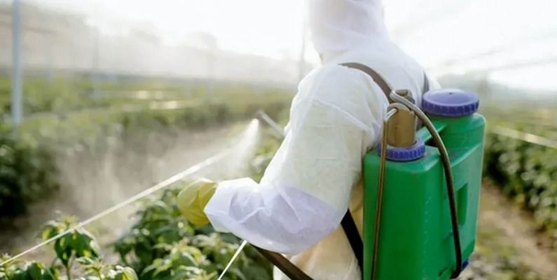 Tarım ve Orman Bakanlığı’ndan Pestisit Düzenlemesi: Yasaklı Pestisit Listeleri Revize Edildi