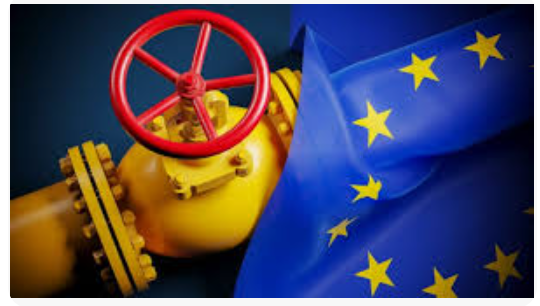 🧭Erdoğan’dan Batı’ya  Dönüş: Enerji Politikası Rusya’dan Kopuyor